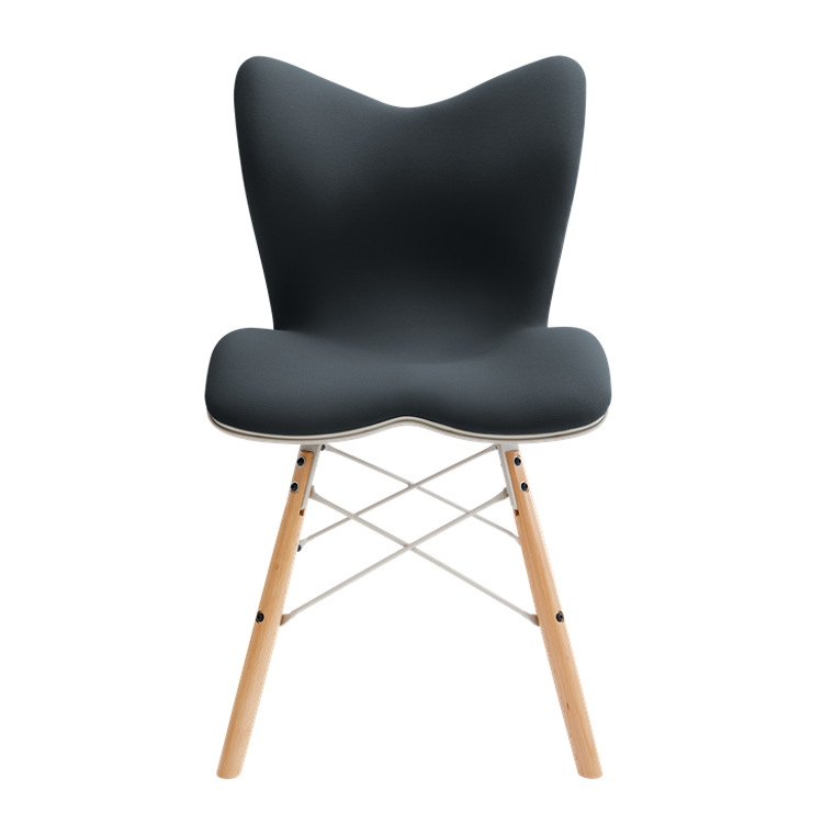 Style健康Chair PM   黑色
